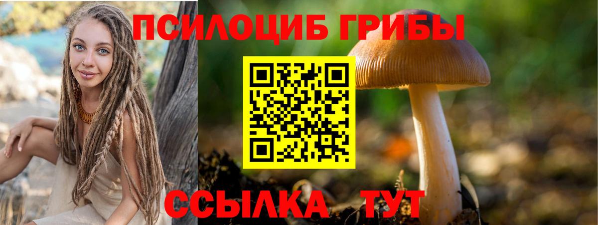 Галлюциногенные грибы прущие грибы  Вход с VPN  Мценск 
